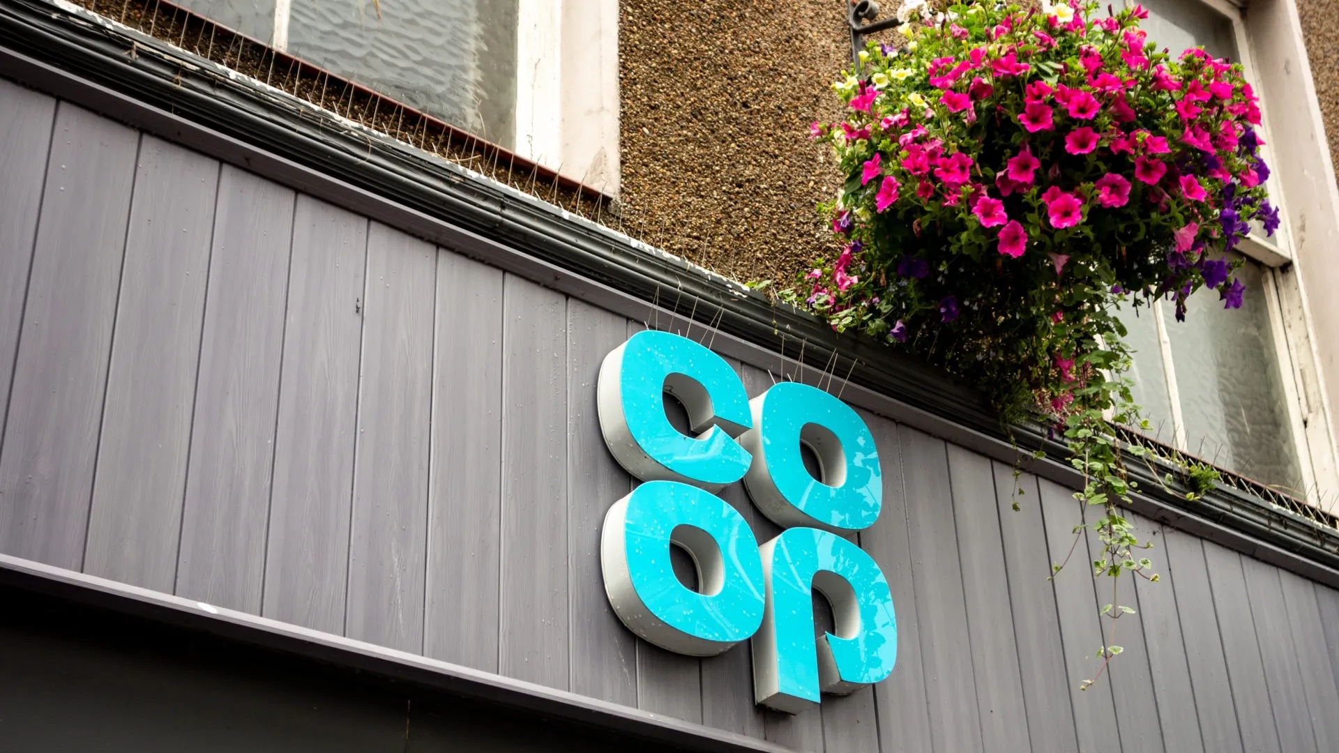 Co-op blog