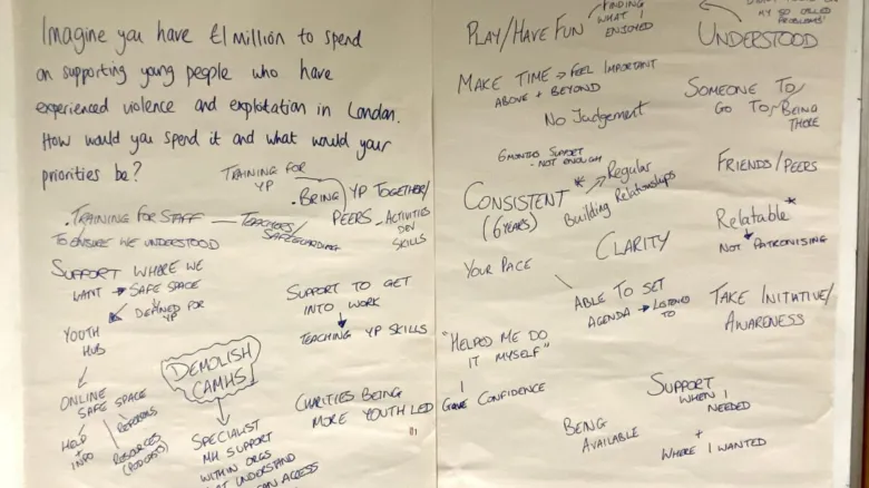 youth voice image